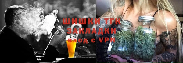 шишки Алексин