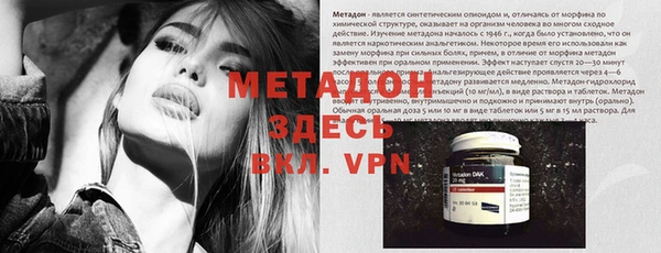 шишки Алексин
