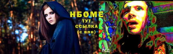 шишки Алексин