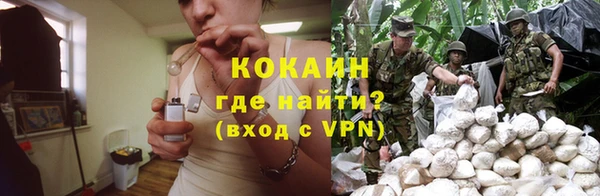 шишки Алексин