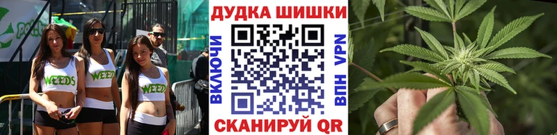 Бошки марихуана ГИДРОПОН  где купить наркоту  Петровск 